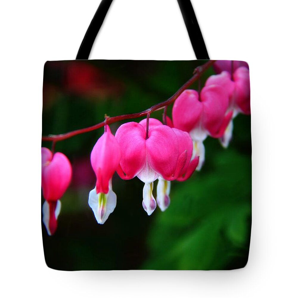 Flower Tote Bag featuring the photograph My Bleeding Heart by Davandra Cribbie
