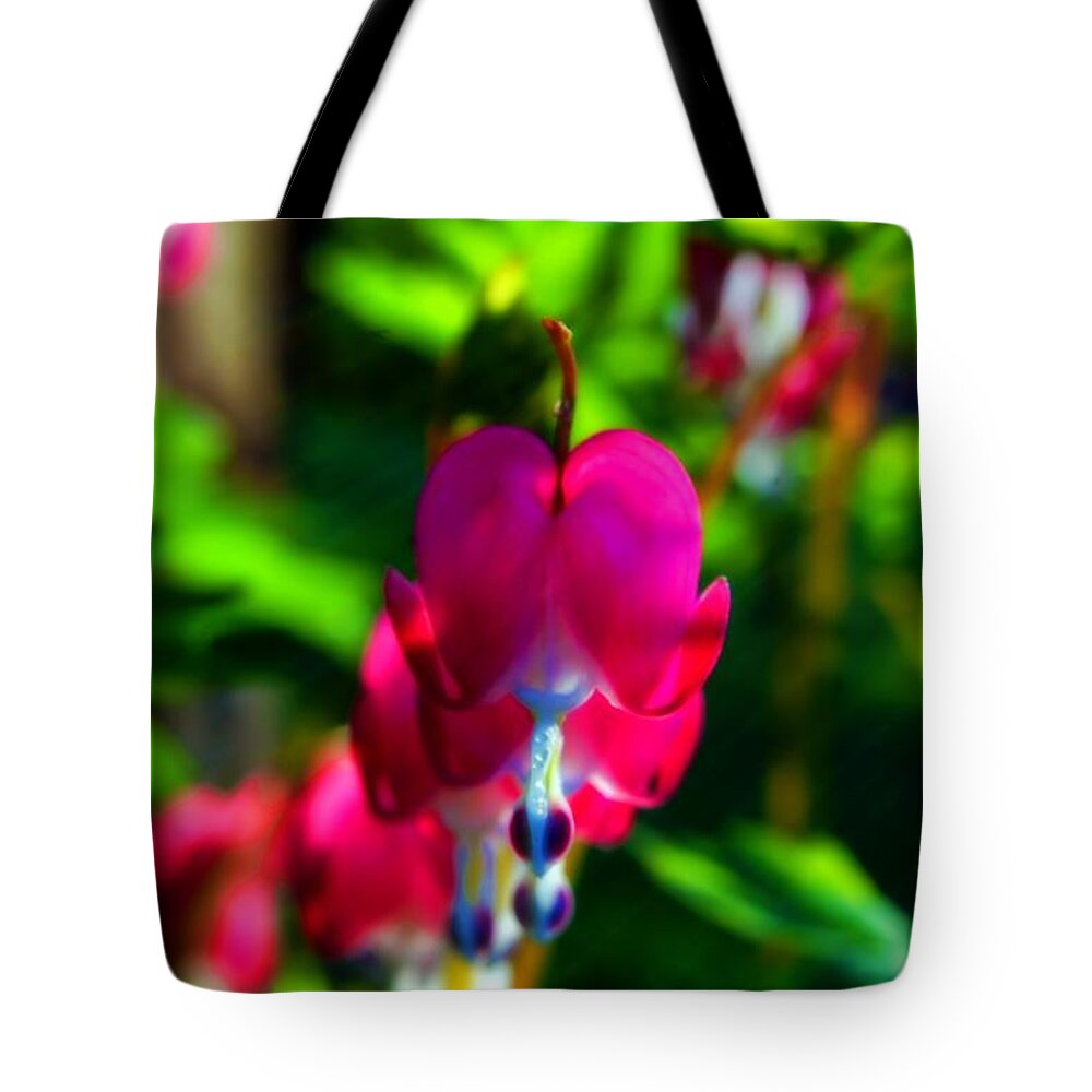 Macro Tote Bag featuring the photograph My Bleeding Heart by Peggy Franz
