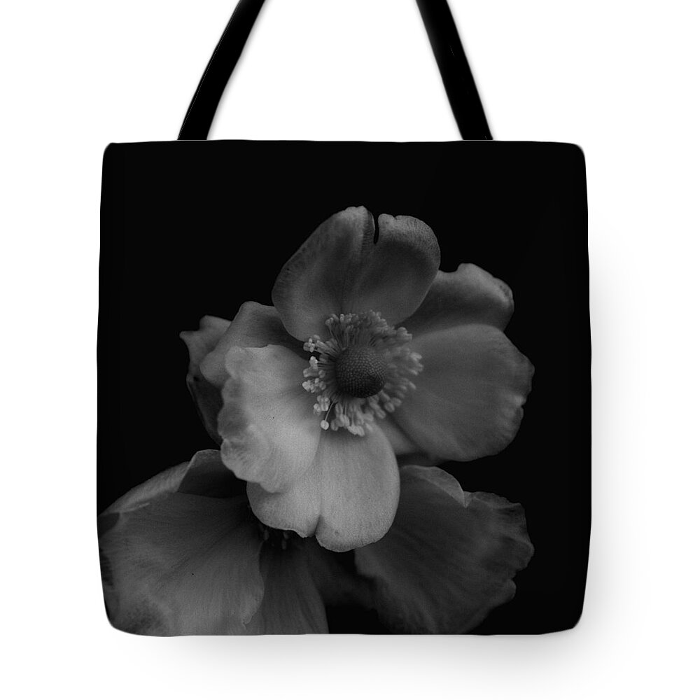 Baby Rose Tote Bag featuring the photograph My Fair Lady by Yuka Kato