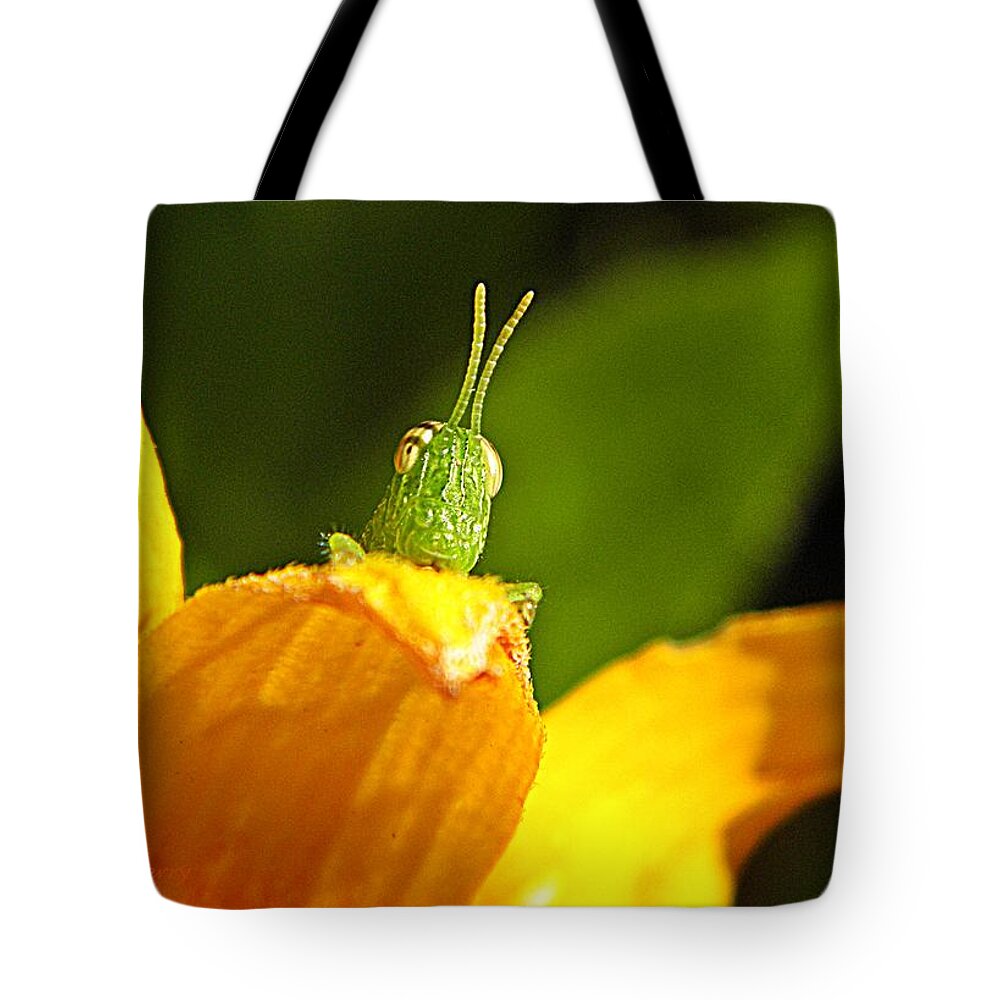 Nature Tote Bag featuring the photograph My Full Attention by Chris Berry