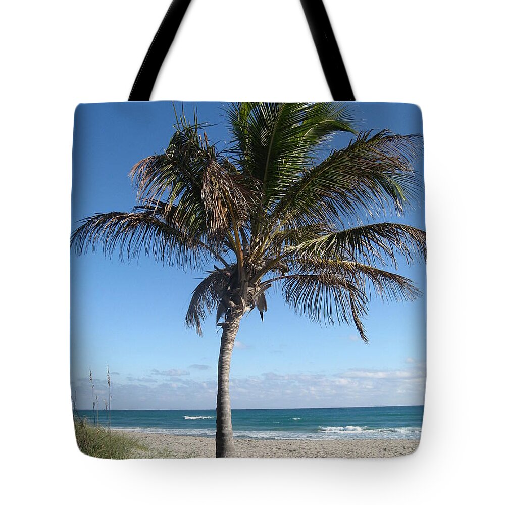 Palm Tree Tote Bag featuring the photograph My Heaven by Catie Canetti