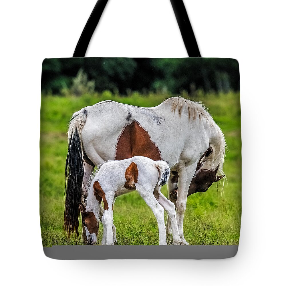 Colt Tote Bag featuring the photograph My Little Pony by Paul Freidlund
