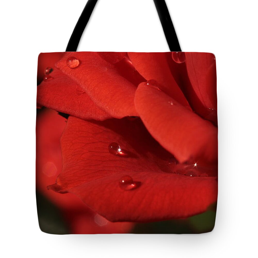 Valentine's Day Tote Bag featuring the photograph My Love ... You Sparkle by Connie Handscomb