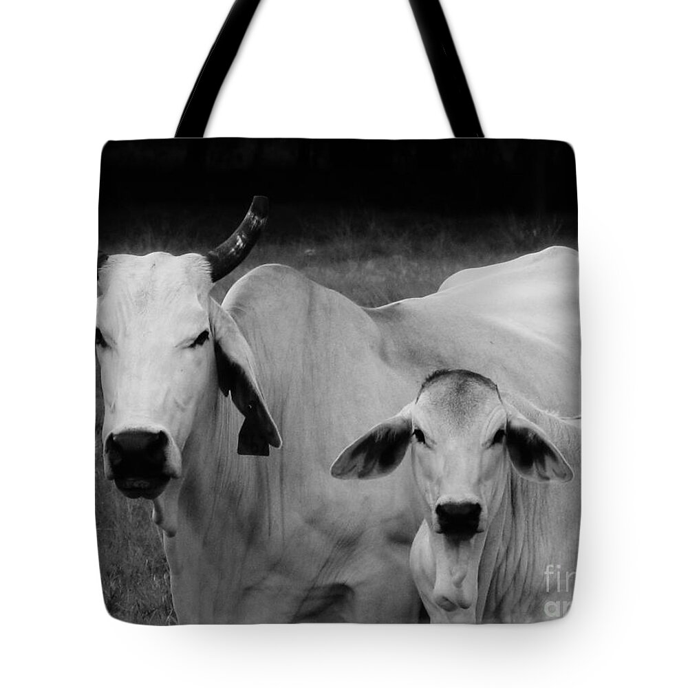 Kerisart Tote Bag featuring the photograph My Mommy Said So by Keri West