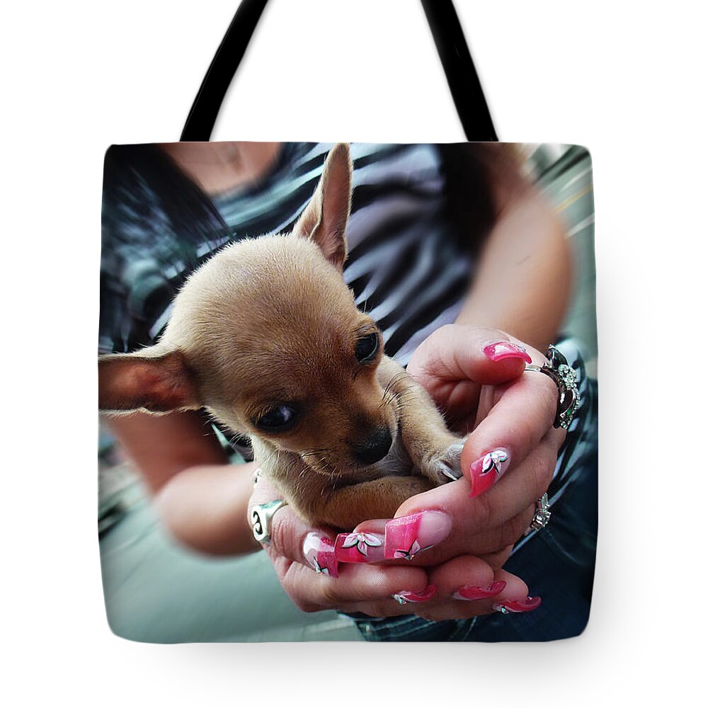 Pomeranian Tote Bag featuring the photograph My Palm Sweetheart by Xueling Zou