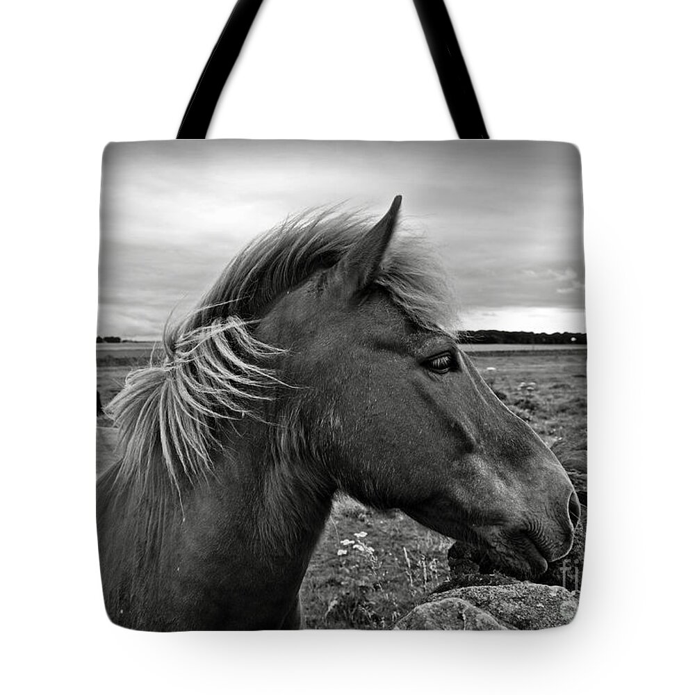 Horse Tote Bag featuring the photograph My Scottish friend by RicardMN Photography