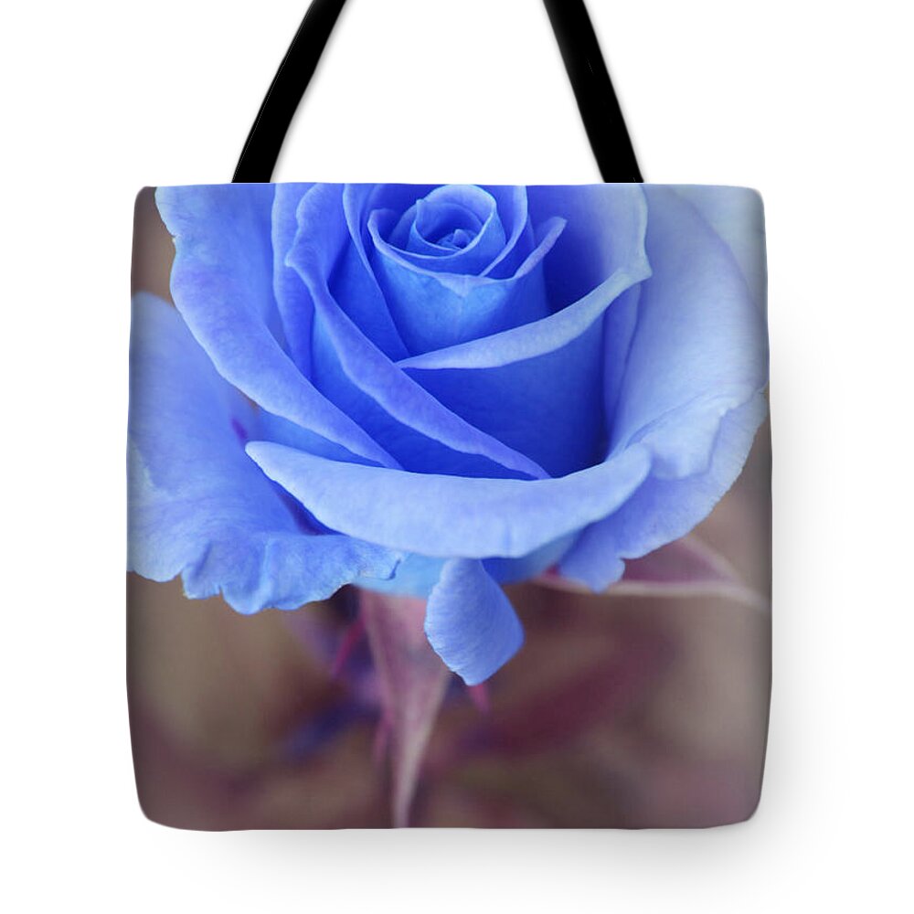 Rose Art Tote Bag featuring the photograph Mysterious by The Art Of Marilyn Ridoutt-Greene