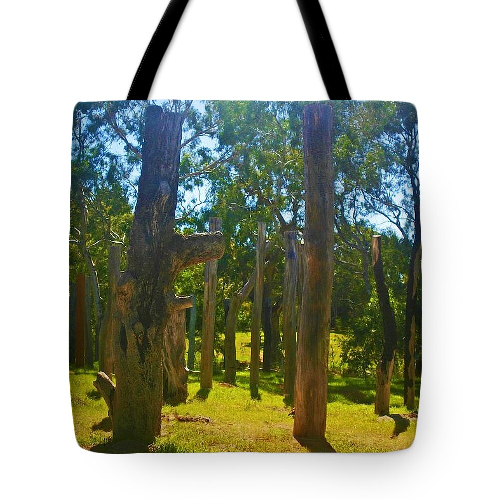 Totem Tote Bag featuring the photograph Mysterious Totems by Mark Blauhoefer