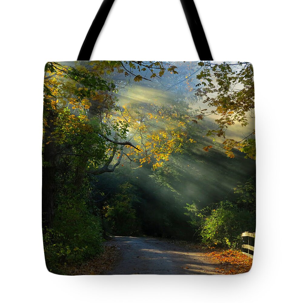 Sunlight Tote Bag featuring the photograph Mystical by Dianne Cowen Cape Cod Photography