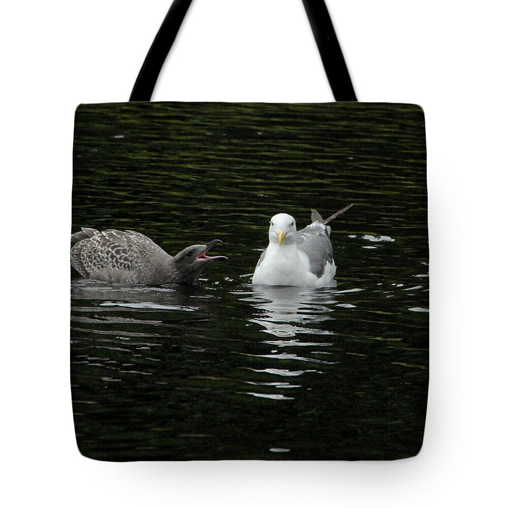 Seagull Tote Bag featuring the photograph Nag Nag Nag by Donna Blackhall
