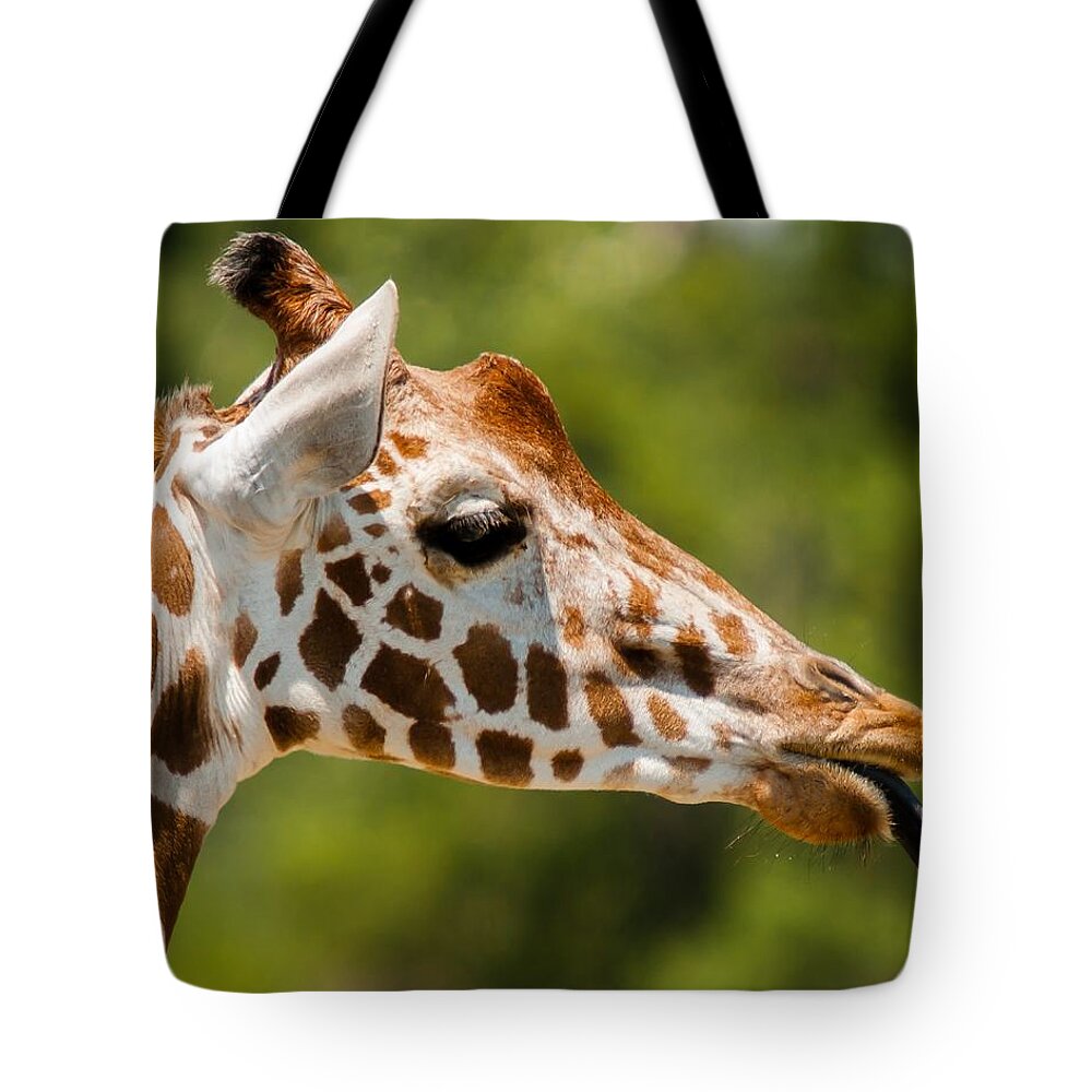 Giraffe Tote Bag featuring the photograph Nana Nana Boo Boo by Robert L Jackson