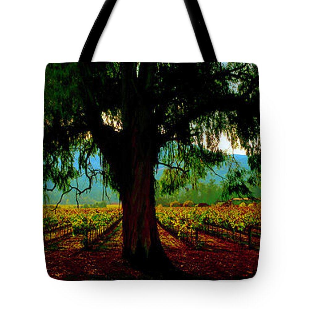 Napa Tote Bag featuring the photograph Napa Valley winery roadside by Tom Jelen