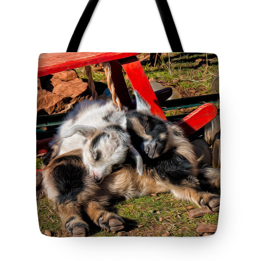 Baby Goats Tote Bag featuring the photograph Napping with a Friend by Kathleen Bishop