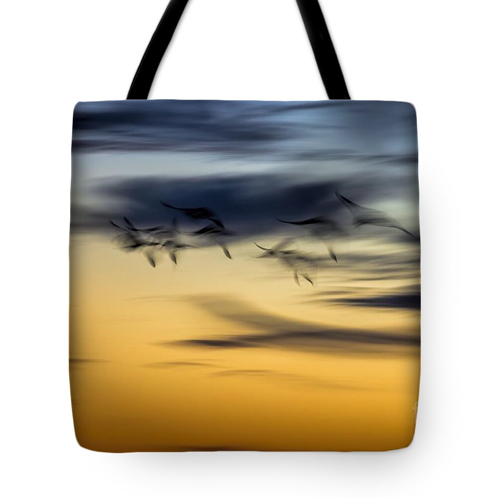 Sky Tote Bag featuring the photograph Natural Abstract Art by Peggy Hughes
