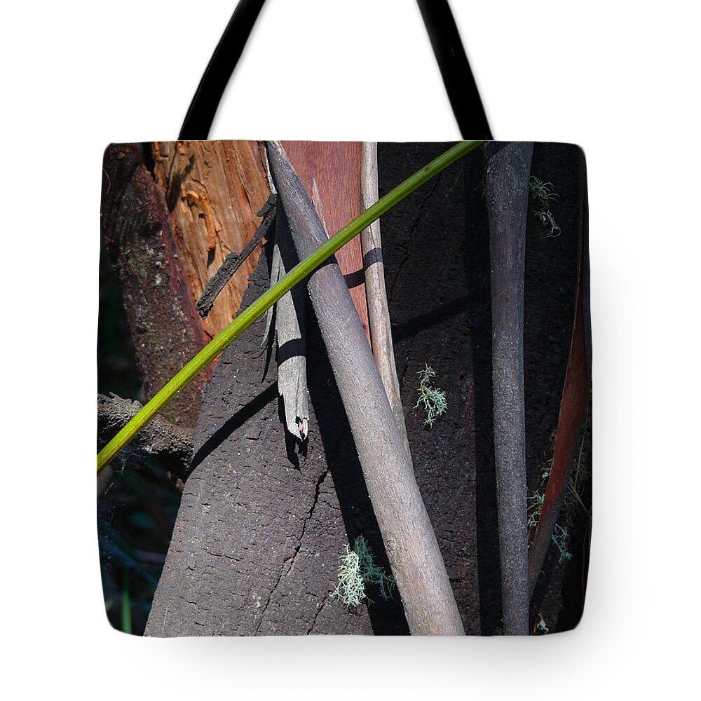 Eucalypt Tote Bag featuring the photograph Natural Bands 3 by Evelyn Tambour