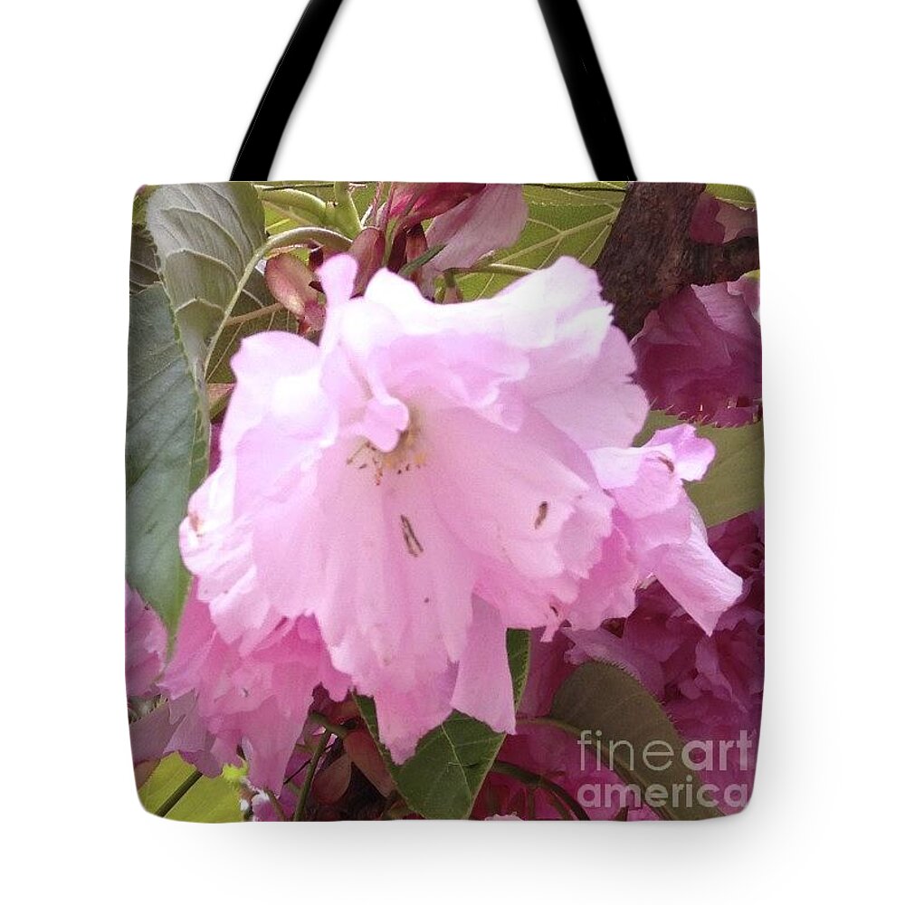Flower Tote Bag featuring the photograph Natural Floral Beauty by Christy Gendalia