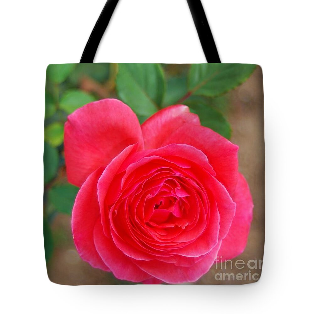Garden Rose Tote Bag featuring the photograph NaturaL GarDeN BeauTY by Angela J Wright