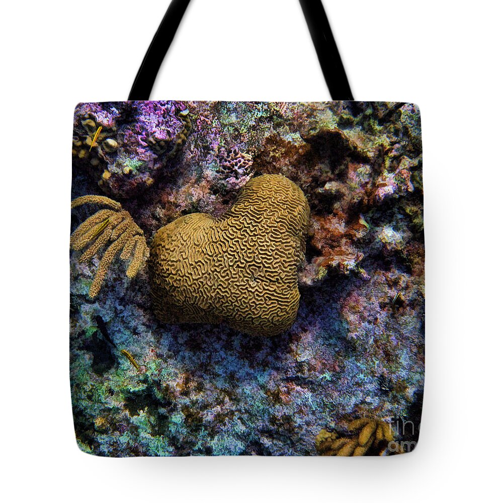Coral Tote Bag featuring the photograph Natural Heart by Peggy Hughes