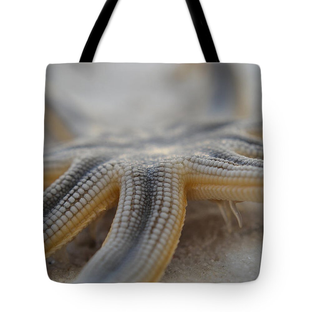 Sea Star Tote Bag featuring the photograph Nature is Beautiful by Melanie Moraga