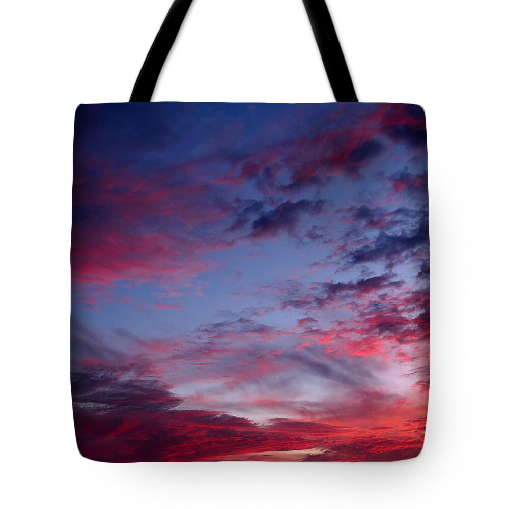 Nature Tote Bag featuring the photograph Nature's Artwork by Jean Macaluso