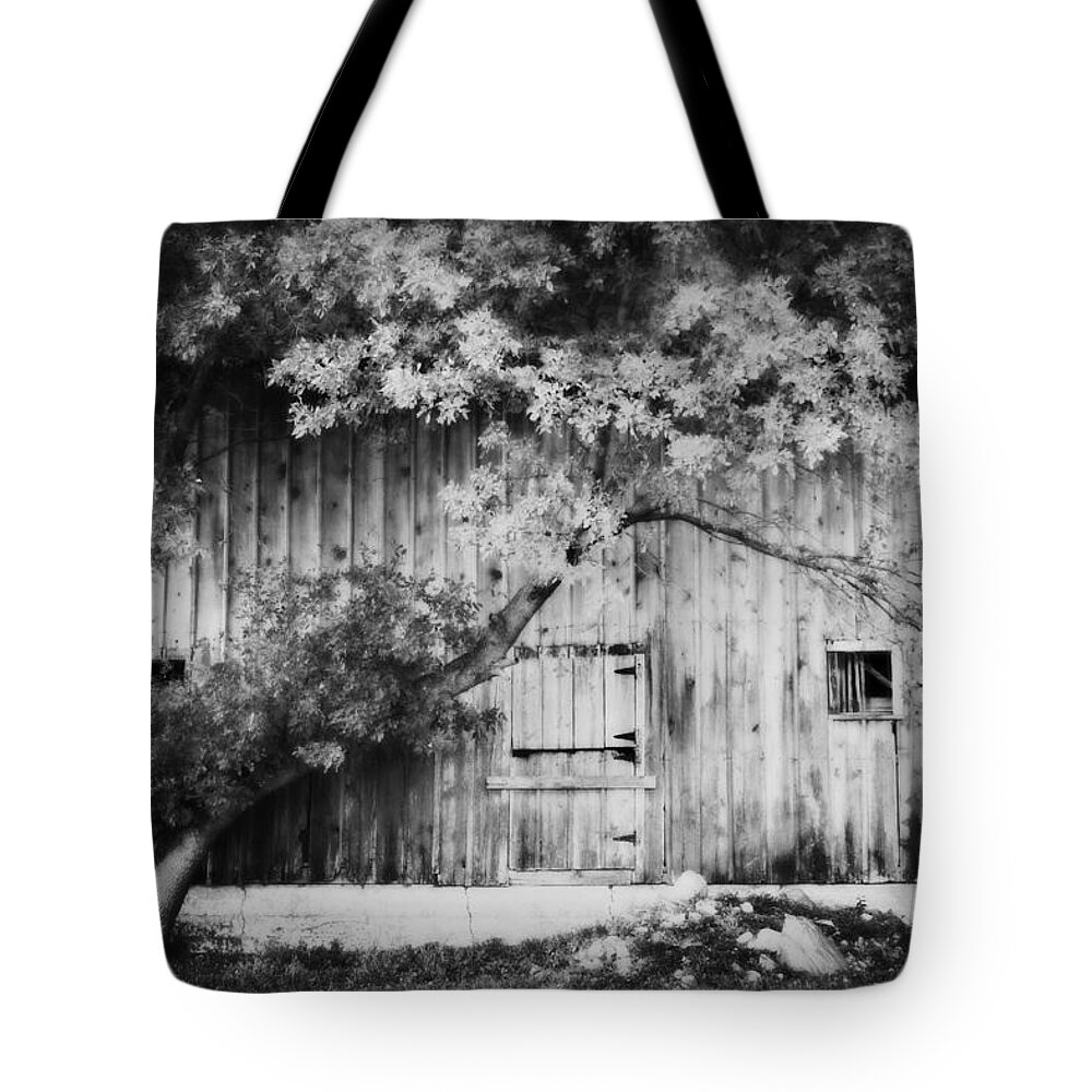 Barn Tote Bag featuring the photograph Natures Awning BW by Julie Hamilton