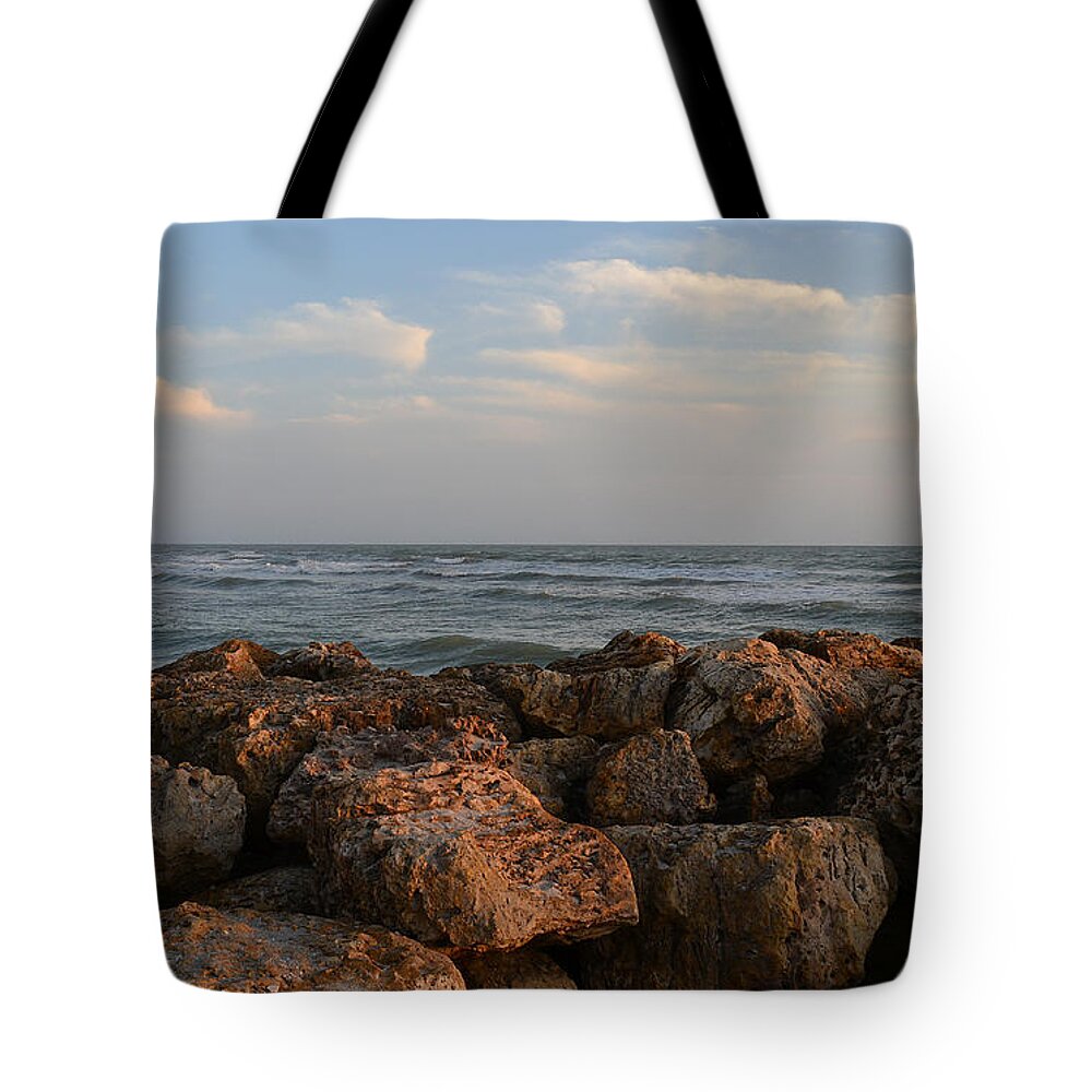 Seashore Tote Bag featuring the photograph Nature's Brush by Melanie Moraga