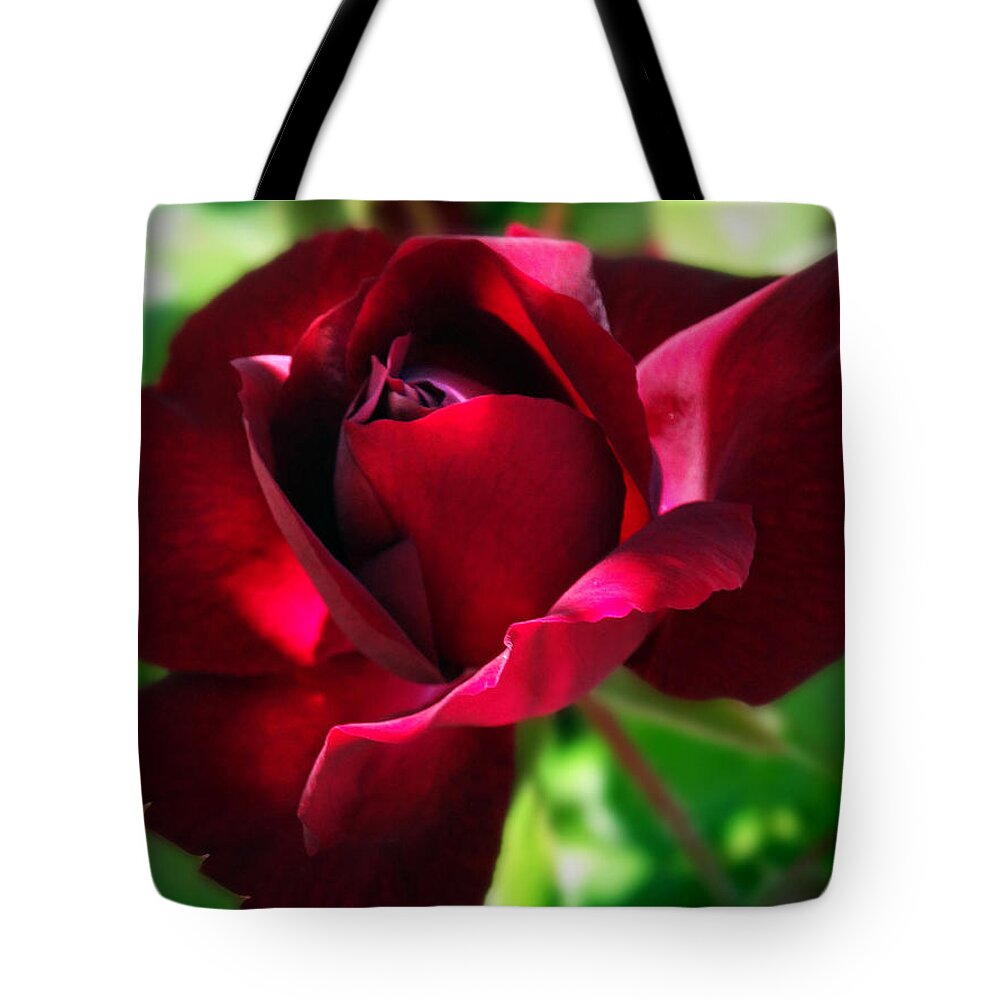 Floral Tote Bag featuring the photograph Nature's decoration by Mikki Cucuzzo