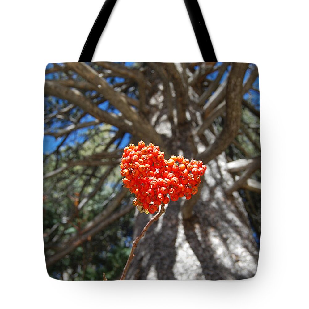 Heart Tote Bag featuring the photograph Nature's Heart by Debra Thompson
