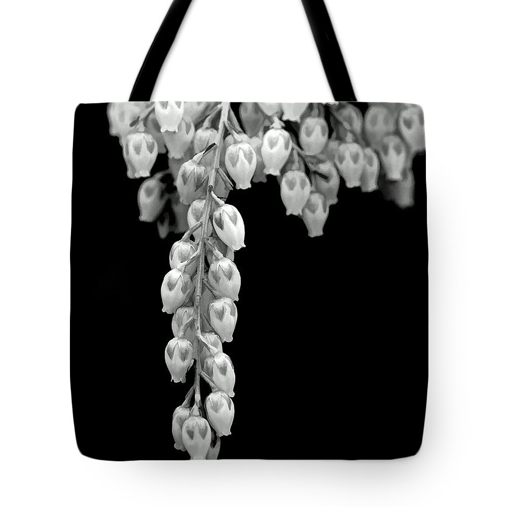 Andromeda Tote Bag featuring the photograph Nature's Pearls by Jayne Carney