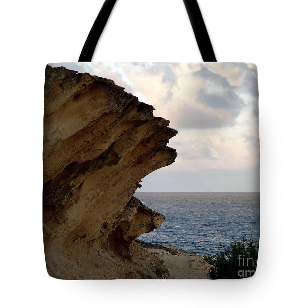 Lithified Cliffs Tote Bag featuring the photograph Nature's Sculptures VIII by Patricia Griffin Brett