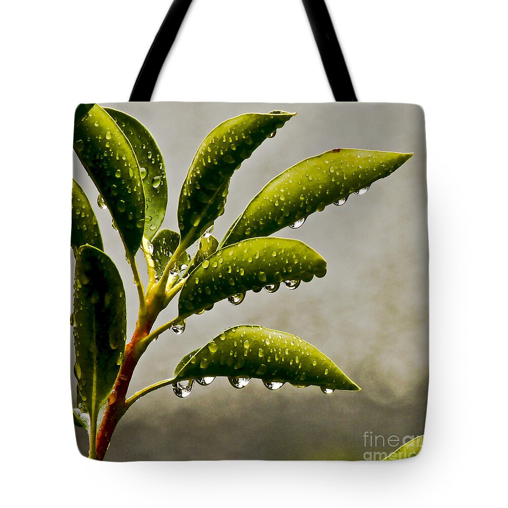 Nature Tote Bag featuring the photograph Natures Teardrops by Carol F Austin