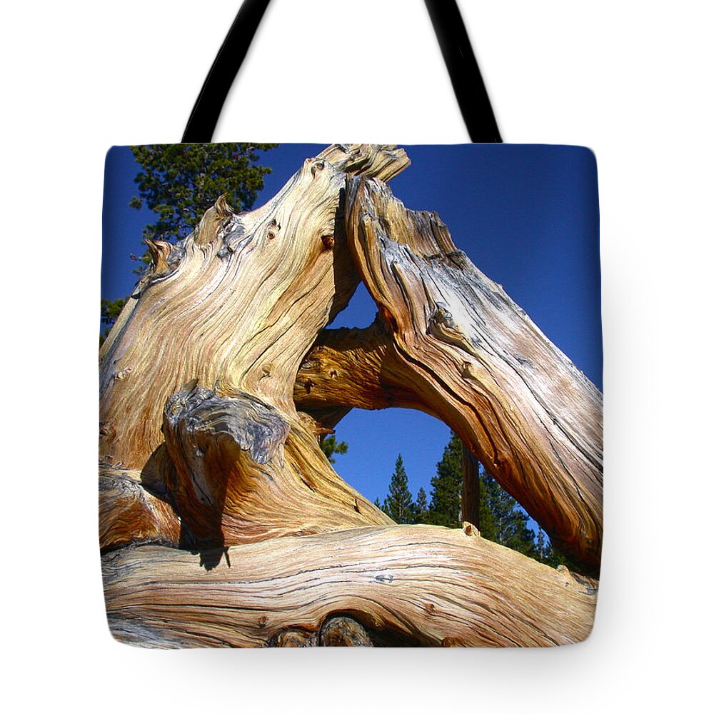 Triangle Tote Bag featuring the photograph Nature's Triangle by Shane Bechler