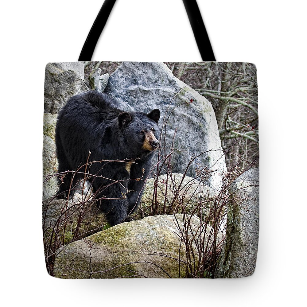 Black Bear Tote Bag featuring the photograph Black Bear In the Rocks by Ronald Lutz