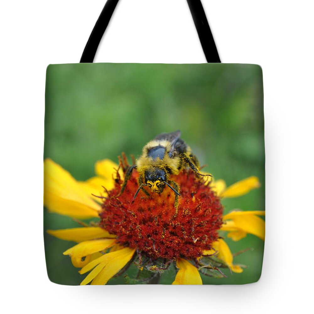 Bee Tote Bag featuring the photograph Need more pollen by Jim Hogg