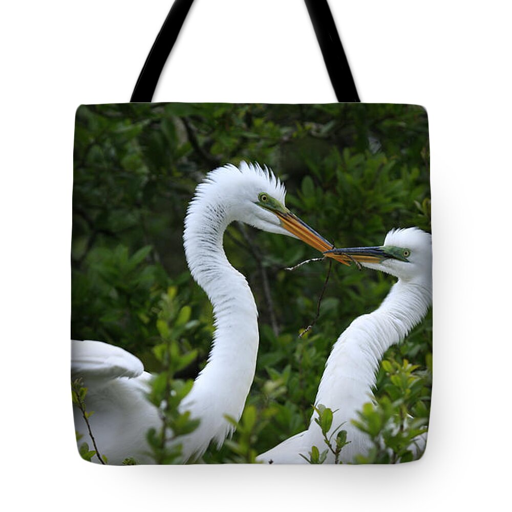 Great Egrets Tote Bag featuring the photograph Nest Building by John F Tsumas