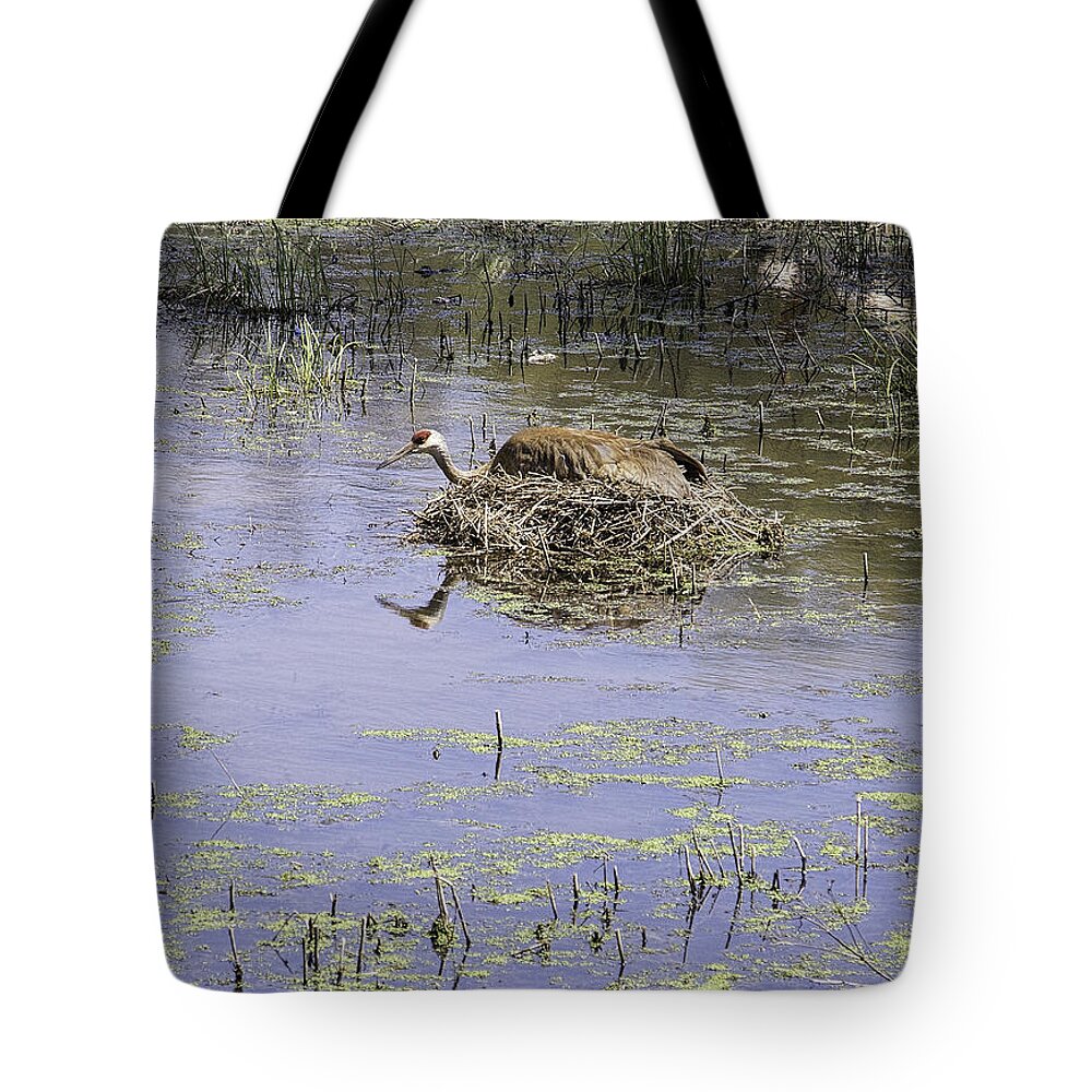 Sandhill Crane Tote Bag featuring the photograph Nesting Sandhill Crane by Thomas Young