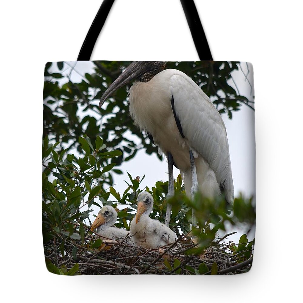 Family Tote Bag featuring the photograph Nesting Wood Stork Family by Richard Bryce and Family
