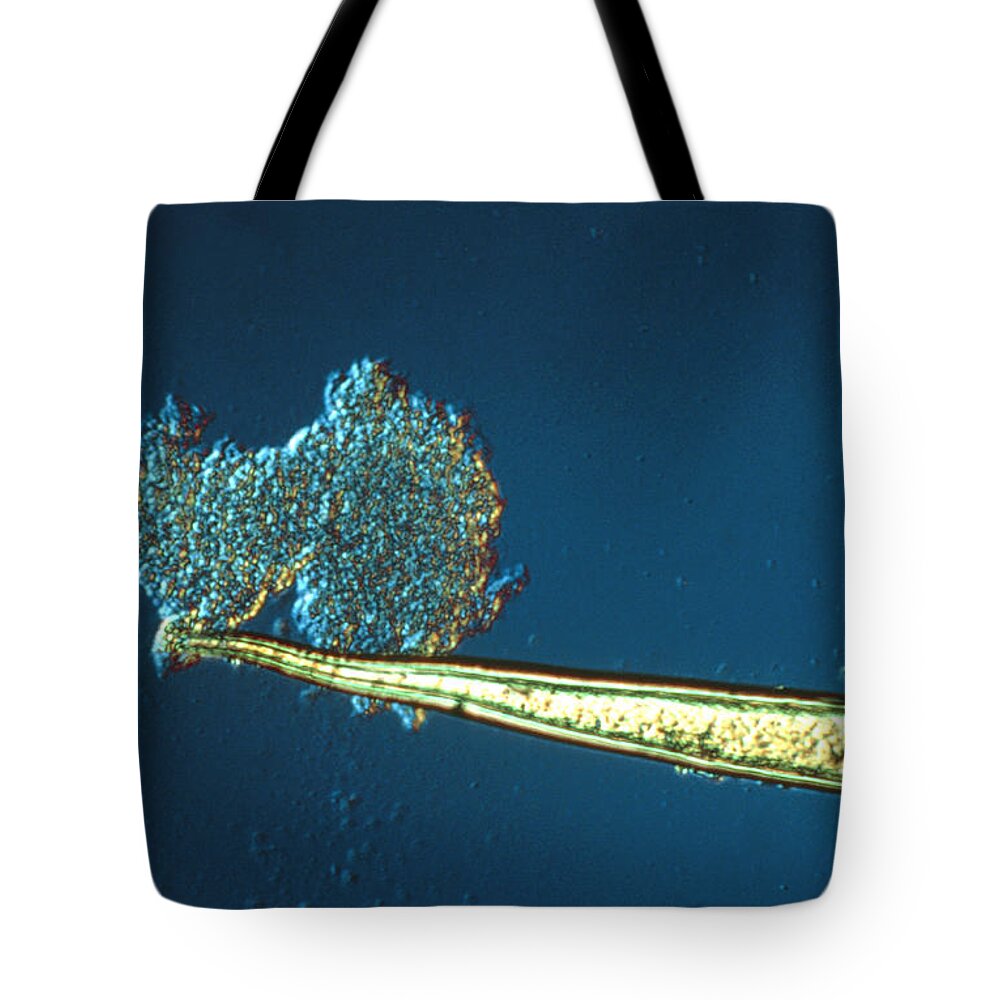 Acetylcholine Tote Bag featuring the photograph Nettle Leaf Hair by Perennou Nuridsany