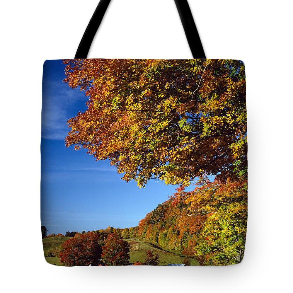 New England Tote Bag featuring the photograph New England Autumn by Rafael Macia