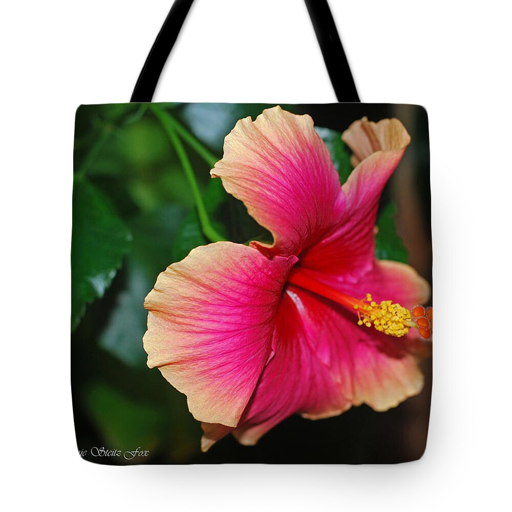 Hibiscus Tote Bag featuring the photograph New Every Morning - Hibiscus by Connie Fox