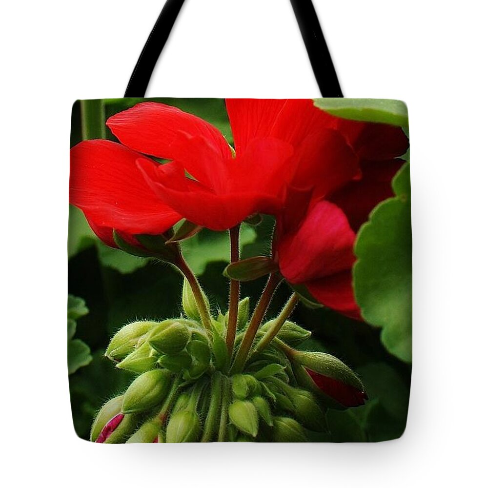 Flora Tote Bag featuring the photograph New Life by Bruce Bley