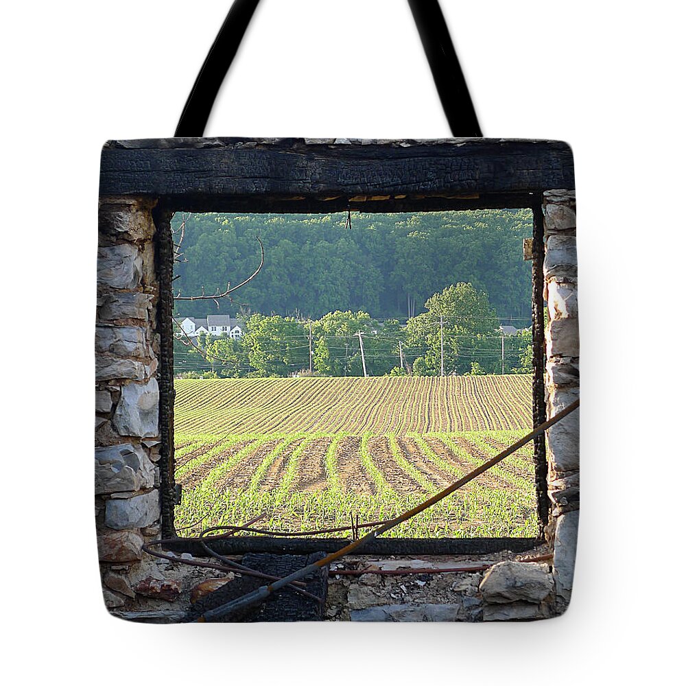 Richard Reeve Tote Bag featuring the photograph New Life Through the Window by Richard Reeve
