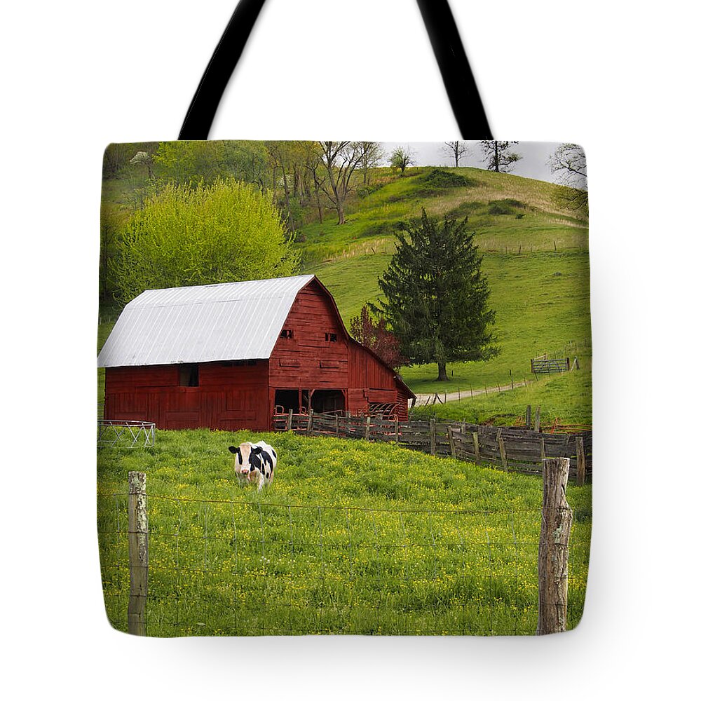 Red Barn Tote Bag featuring the photograph New Red Paint by Mike McGlothlen
