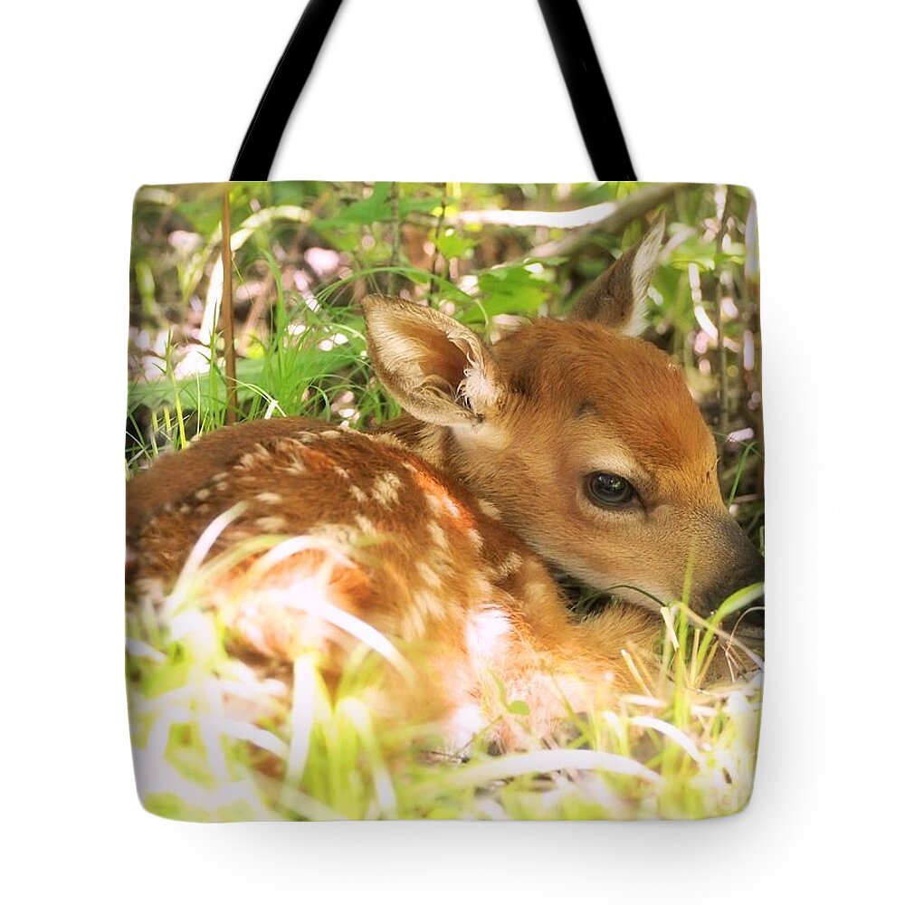 Fawn Tote Bag featuring the photograph Newborn Fawn by Angie Rea
