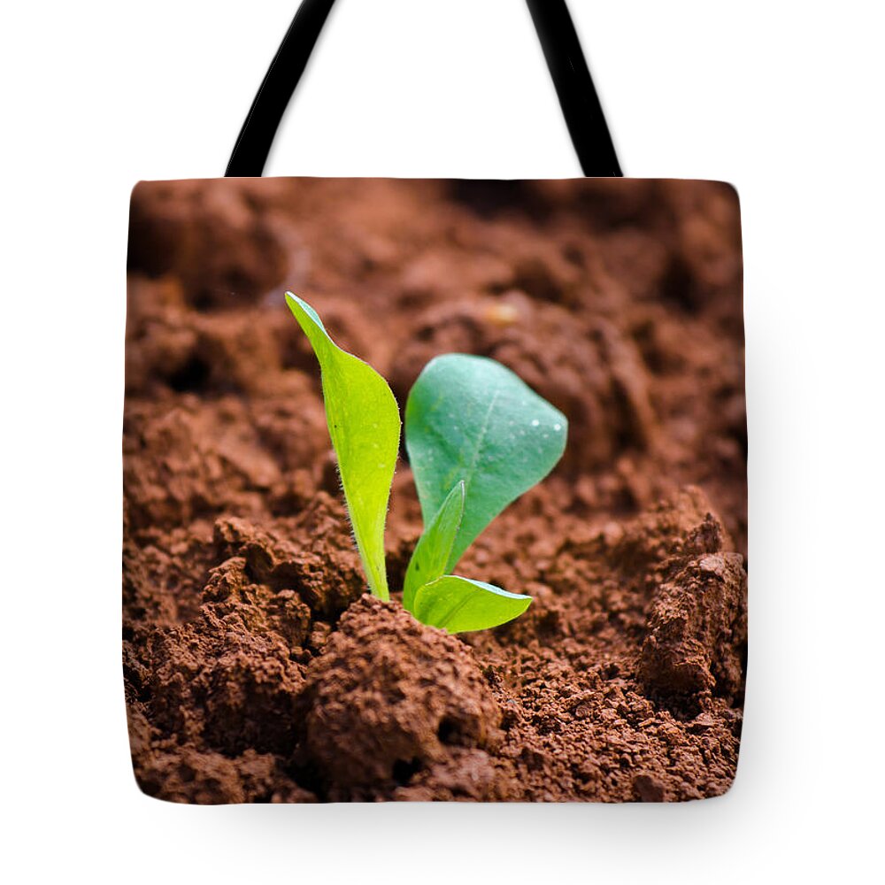 Plant Tote Bag featuring the photograph Newborn Plant On Red Acre by Andreas Berthold