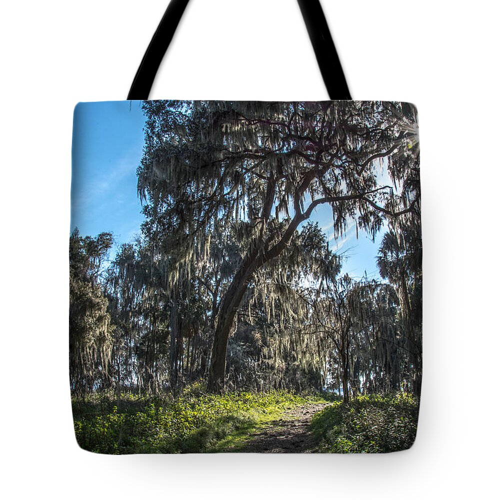 Gainesville Tote Bag featuring the photograph Newnan's Lake Tree Canopy by Valerie Cason