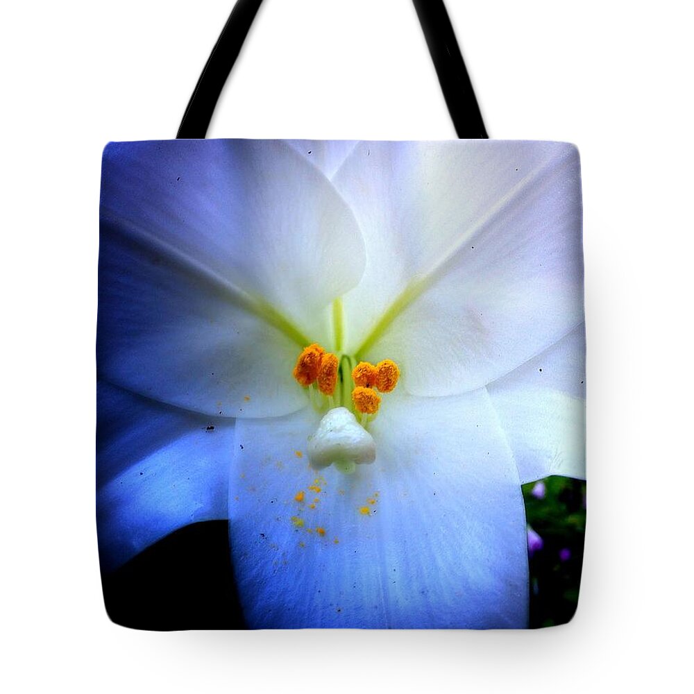 Flower Tote Bag featuring the photograph Night and Day Lilly by John Duplantis