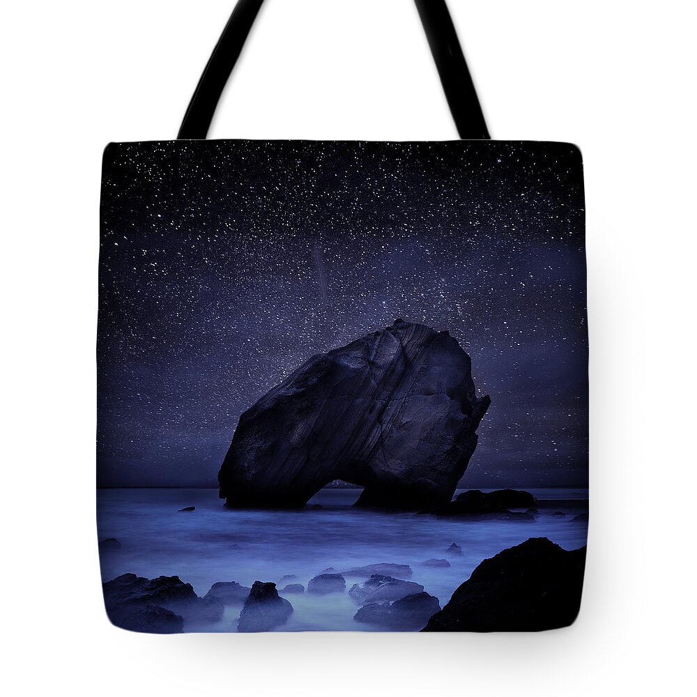 Night Tote Bag featuring the photograph Night guardian by Jorge Maia