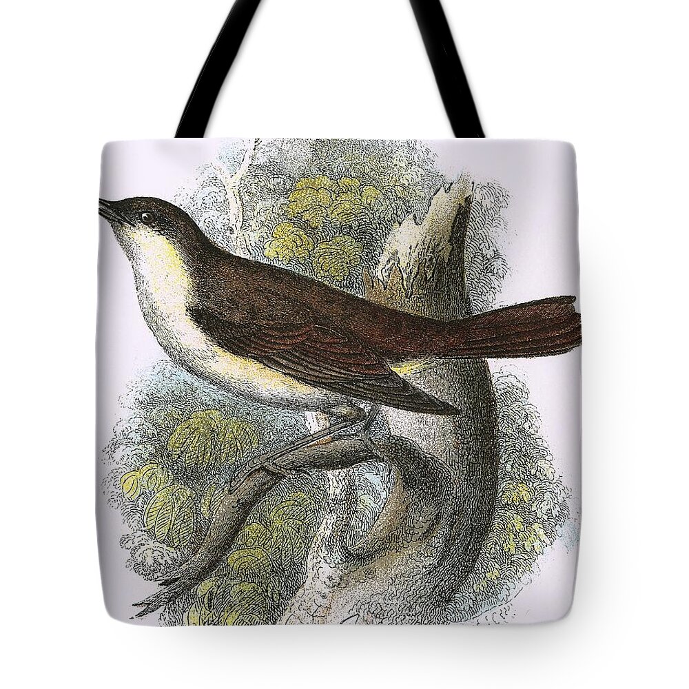 Nightingale Tote Bag featuring the painting Nightingale by English School