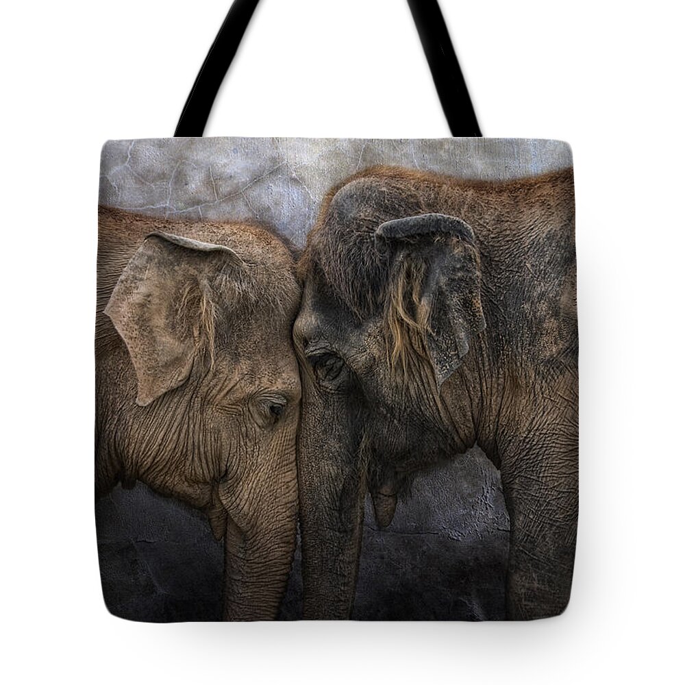Asian Wildlife Tote Bags